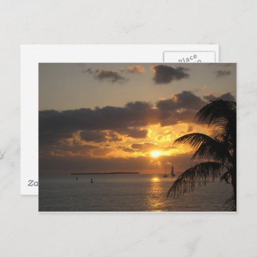 Sunset Key West, Florida Briefkaart (Voorkant / Achterkant)