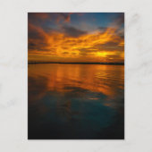 Sunset Lake Charles Louisiana Briefkaart (Voorkant)