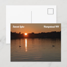 Sunset Lake Loons op Sunset Briefkaart