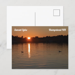 Sunset Lake Loons op Sunset Briefkaart
