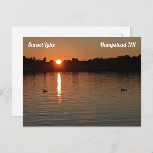 Sunset Lake Loons op Sunset Briefkaart (Voorkant / Achterkant)
