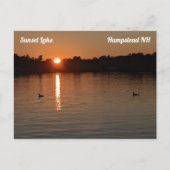Sunset Lake Loons op Sunset Briefkaart (Voorkant)