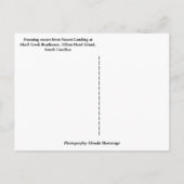 Sunset Landing Skull Creek Boathouse Hilton Head Briefkaart (Achterkant)