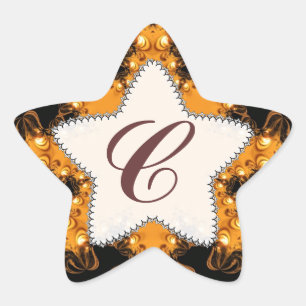 Sunset Lights Monogram Earth Star-Sticker Ster Sticker