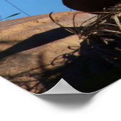 Sunset Lion Poster (Hoek)