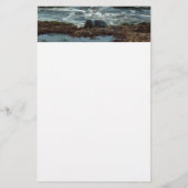 Sunset Lit Harbour Seal I in San Diego Briefpapier (Voorkant)