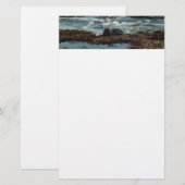 Sunset Lit Harbour Seal I in San Diego Briefpapier (Voorkant / Achterkant)