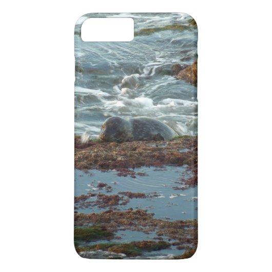 Sunset Lit Harbour Seal I in San Diego Case-Mate iPhone Case (Achterkant)