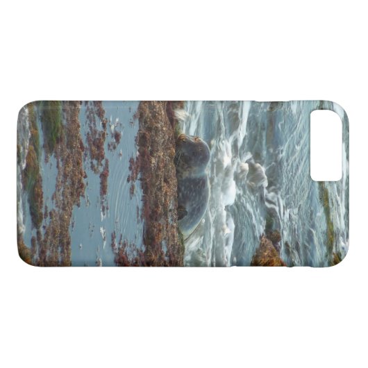Sunset Lit Harbour Seal I in San Diego Case-Mate iPhone Case (Achterkant (Horizontaal))