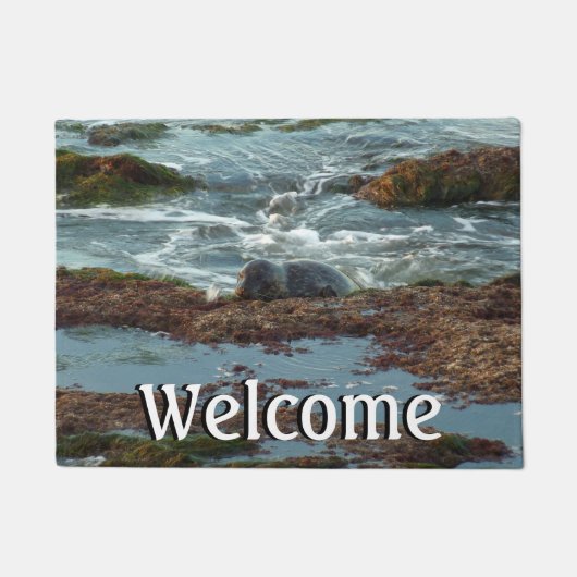 Sunset Lit Harbour Seal I in San Diego Deurmat (Voorkant)