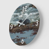 Sunset Lit Harbour Seal I in San Diego Grote Klok (Hoek)