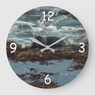 Sunset Lit Harbour Seal I in San Diego Grote Klok