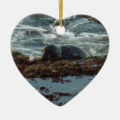 Sunset Lit Harbour Seal I in San Diego Keramisch Ornament (Voorkant)