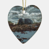 Sunset Lit Harbour Seal I in San Diego Keramisch Ornament (Links)