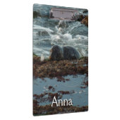 Sunset Lit Harbour Seal I in San Diego Klembord (Rechts)