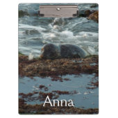 Sunset Lit Harbour Seal I in San Diego Klembord (Voorkant)