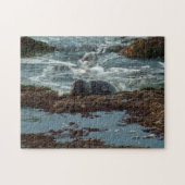 Sunset Lit Harbour Seal I in San Diego Legpuzzel (Horizontaal)