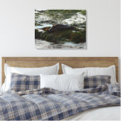 Sunset Lit Harbour Seal II in San Diego Canvas Afdruk (Insitu (Slaapkamer))