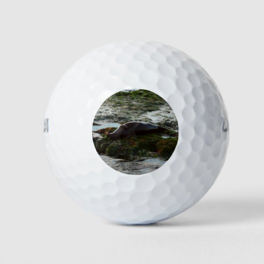 Sunset Lit Harbour Seal II in San Diego Golfballen (Voorkant)