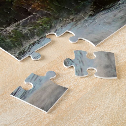 Sunset Lit Harbour Seal II in San Diego Legpuzzel (Zijkant)