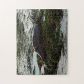 Sunset Lit Harbour Seal II in San Diego Legpuzzel (Verticaal)