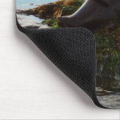 Sunset Lit Harbour Seal II in San Diego Muismat (Hoek)