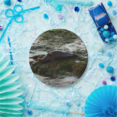 Sunset Lit Harbour Seal II in San Diego Papieren Bordje (Feest)