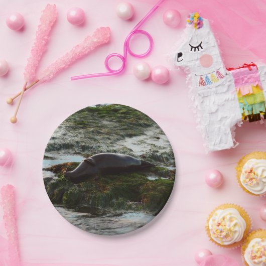 Sunset Lit Harbour Seal II in San Diego Papieren Bordje (Feest)