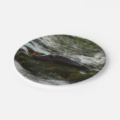 Sunset Lit Harbour Seal II in San Diego Papieren Bordje (Gekanteld)