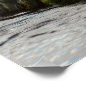 Sunset Lit Harbour Seal II in San Diego Poster (Hoek)