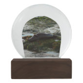 Sunset Lit Harbour Seal II in San Diego Sneeuwbol (Achterkant)