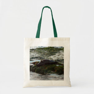 Sunset Lit Harbour Seal II in San Diego Tote Bag