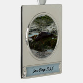 Sunset Lit Harbour Seal II in San Diego Verzilverd Banner Ornament (Rechts)