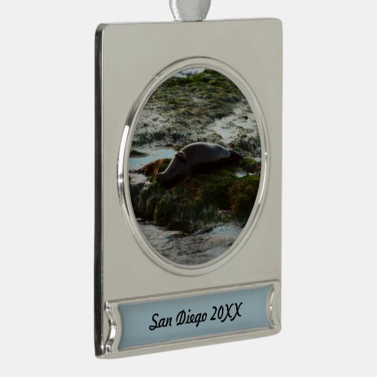 Sunset Lit Harbour Seal II in San Diego Verzilverd Banner Ornament (Rechts)
