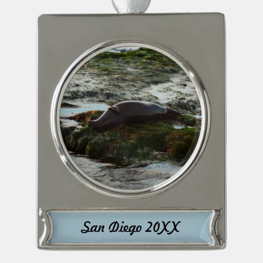Sunset Lit Harbour Seal II in San Diego Verzilverd Banner Ornament (Voorkant)