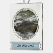 Sunset Lit Harbour Seal II in San Diego Verzilverd Banner Ornament (Links)