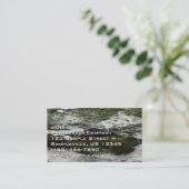 Sunset Lit Harbour Seal II in San Diego Visitekaartje (Staand voorkant)