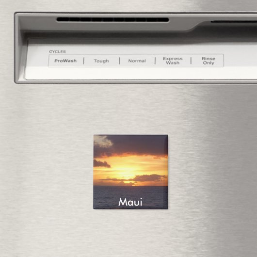 Sunset Magnet (Insitu (Vaatwasser))