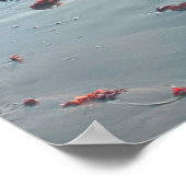 Sunset Mendocino Beach Poster (Hoek)