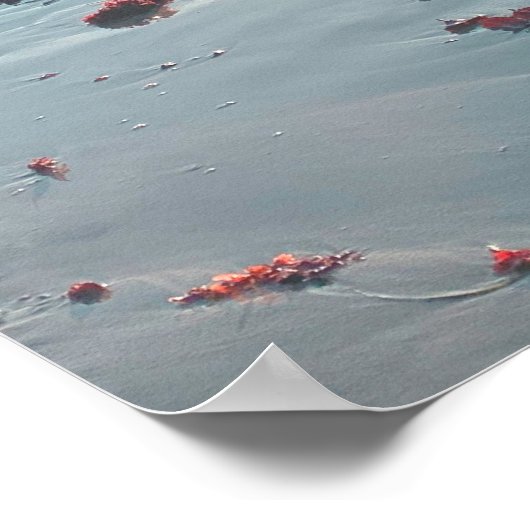 Sunset Mendocino Beach Poster (Hoek)