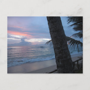 Sunset met boom @ Sri Lanka Briefkaart