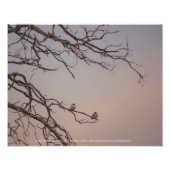 Sunset met de Shrikes Foto Afdruk (Voorkant)