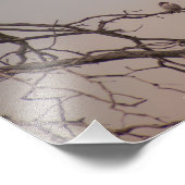 Sunset met de Shrikes Foto Afdruk (Hoek)