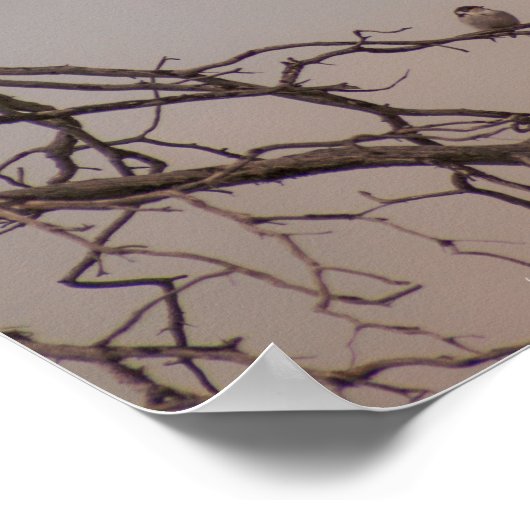 Sunset met de Shrikes Poster (Hoek)