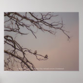 Sunset met de Shrikes Poster (Voorkant)