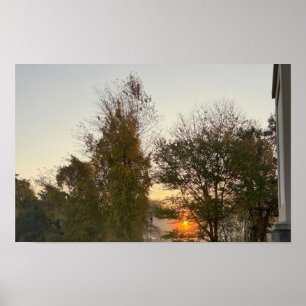 Sunset met Poster Trees