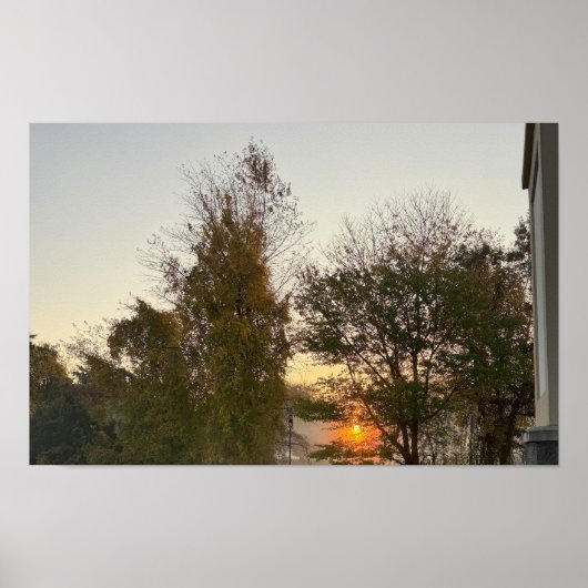 Sunset met Poster Trees (Voorkant)