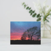 Sunset met rode hemel briefkaart (Staand voorkant)