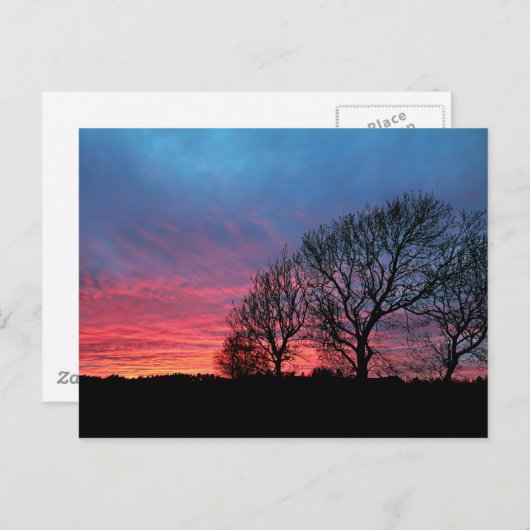 Sunset met rode hemel briefkaart (Voorkant / Achterkant)