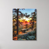 Sunset Mogollon Rim Arizona Pine Trees 18x24 Canvas Afdruk (Voorkant)